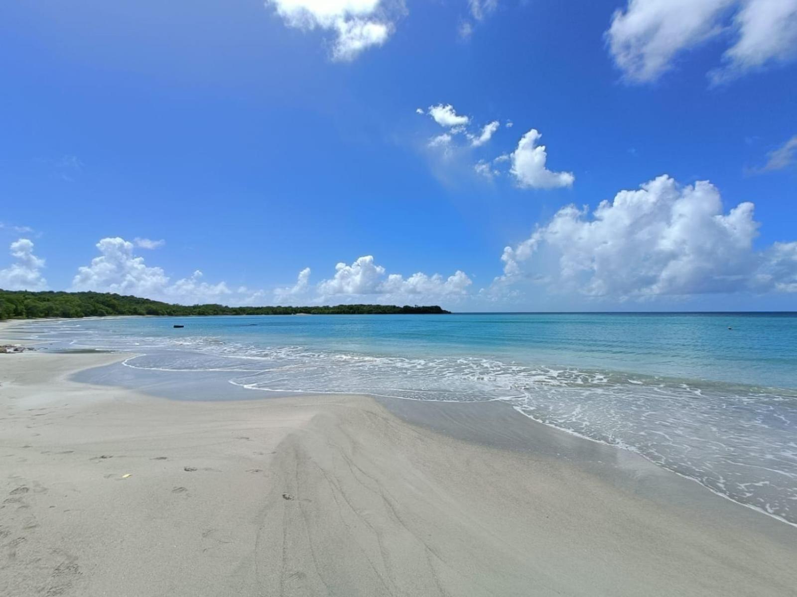 Le Madja'Kaz - Studio En Residence Et Bord De Mer - Sainte Luce Martinique 외부 사진