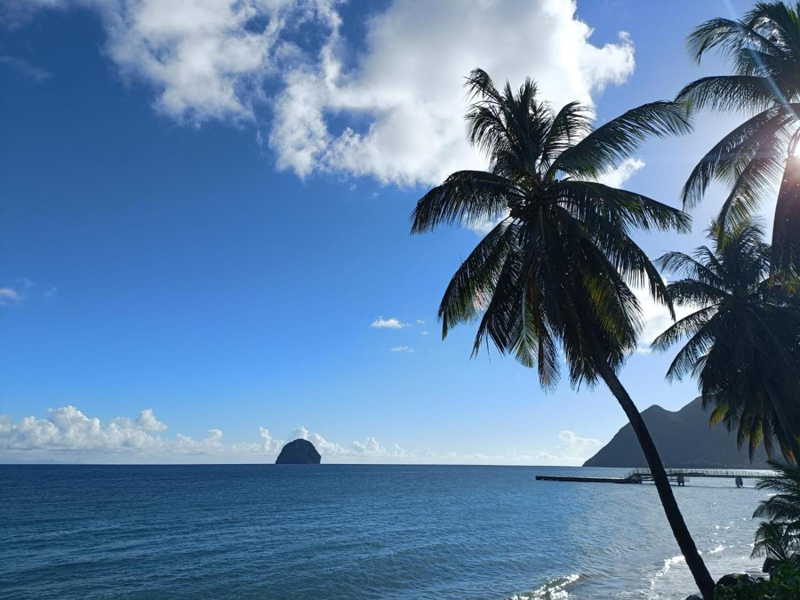 Le Madja'Kaz - Studio En Residence Et Bord De Mer - Sainte Luce Martinique 외부 사진